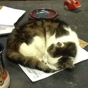 Meet your Posher, Cherri